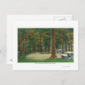 サラトガバトルフィールドのピクニックグラウンド ポストカード (正面/裏面)