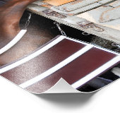 サラトガラブ フォトプリント            (角)