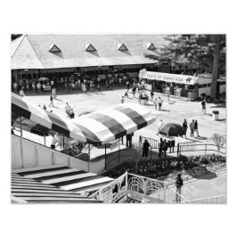 サラトガレースコース フォトプリント           