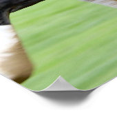 サラトガレース – ビッグボビー&ジョッキージュニアアルバラド ポスター (角)