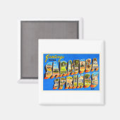 サラトガ春ズニューヨークNYオールドトラベル土産 マグネット (正面/裏面)