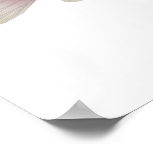 サラビア ポスター (角)