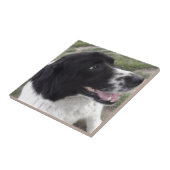 サラブルガリアの羊飼い犬 タイル (側面)