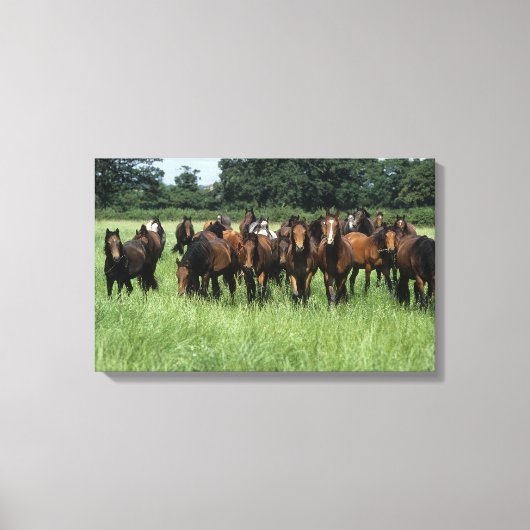 サラブレッドの若者 キャンバスプリント (正面)