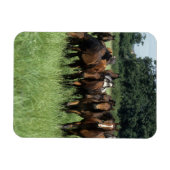 サラブレッドの若者 マグネット (横)