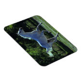 サラブレッドランニングスタリオン マグネット (右側)