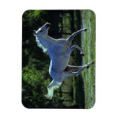 サラブレッドランニングスタリオン マグネット (縦)