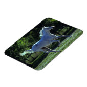 サラブレッドランニングスタリオン マグネット (左側)