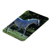サラブレッドランニングスタリオン マグネット (左側)