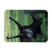 サラブレッドランニング マグネット (横)