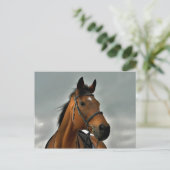 サラブレッド湾のポートレート ポストカード (スタンド正面)