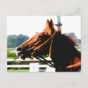 サラブレッド競走馬はがき ポストカード