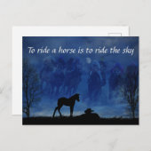 サラブレッド競走馬公式はがき2枚 ポストカード (正面/裏面)