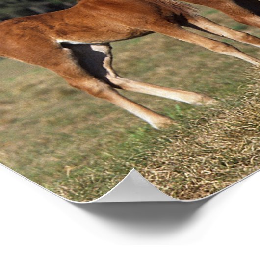 サラブレッド群 ポスター (角)