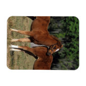 サラブレッド群 マグネット (横)