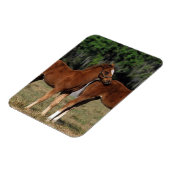 サラブレッド群 マグネット (左側)