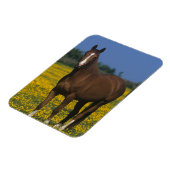 サラブレッド馬のグループ マグネット (左側)