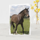 サラブレッド馬カード カード (黄色い花)