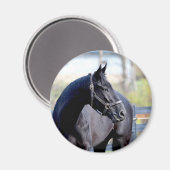 サラブレッド馬磁石 マグネット (正面/裏面)