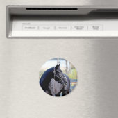サラブレッド馬磁石 マグネット (インサイチュ (食洗機))