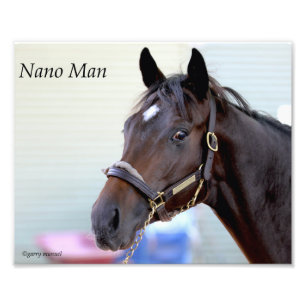 サラブレッド馬 – ナノマン フォトプリント