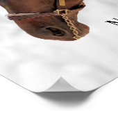 サラブレッド馬 – ナノマン – 姿勢 ポスター (角)