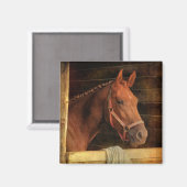 サラブレッド・ホース マグネット (正面/裏面)