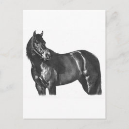 サラブレッド ポストカード