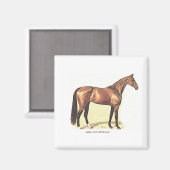 サラブレッド マグネット (正面/裏面)