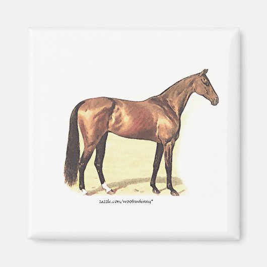 サラブレッド マグネット (正面)