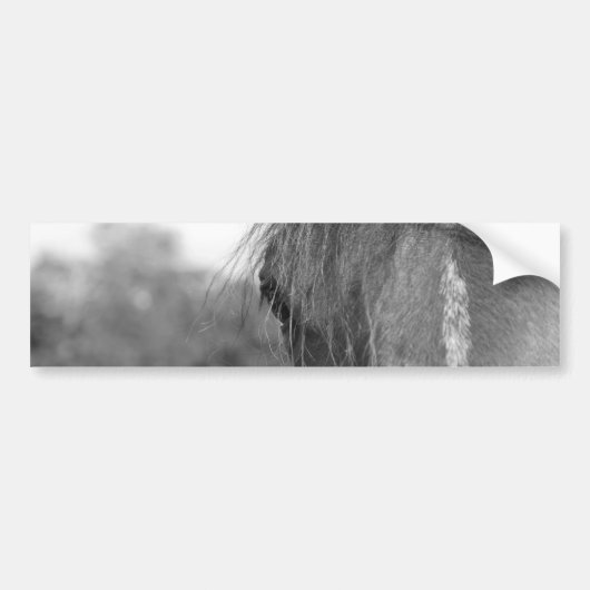 サラブレッドb/w バンパーステッカー (正面)