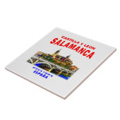 サラマンカ/カスティーリャとレオン，スペイン。 タイル (側面)