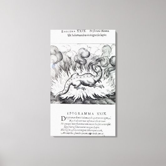 サラマンダーが火の中に住むにつれて キャンバスプリント (正面)