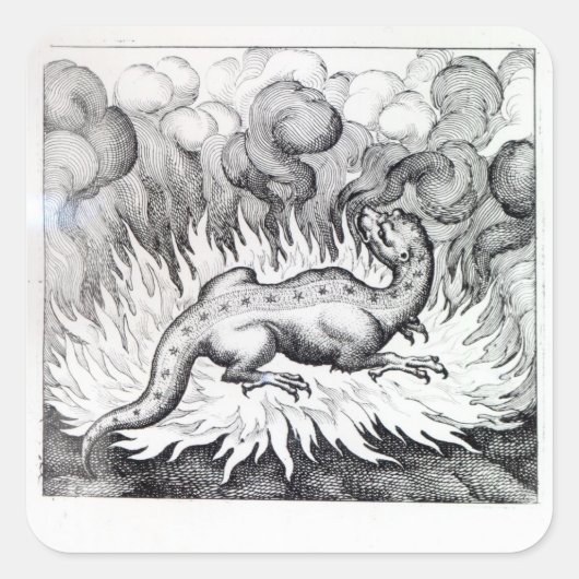 サラマンダーが火の中に住むにつれて スクエアシール (正面)