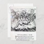 サラマンダーが火の中に住むにつれて ポストカード (正面/裏面)