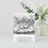 サラマンダーが火の中に住むにつれて ポストカード (スタンド正面)