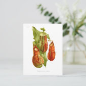 サラマンダー・プラント ポストカード (スタンド正面)