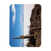 サラルドゥウユニ長方形マグネットのサボテン マグネット (縦)