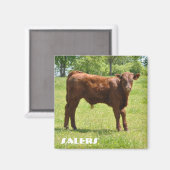 サラーカーフ磁石 マグネット (正面/裏面)