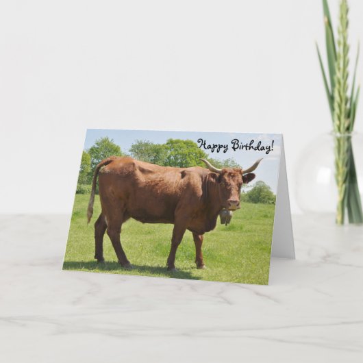 サラーズ牛の誕生日カード カード (正面)