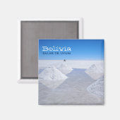 サラードウユニ塩フラッツ文字磁石 マグネット (正面/裏面)