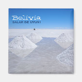 サラードウユニ塩フラッツ文字磁石 マグネット (正面)