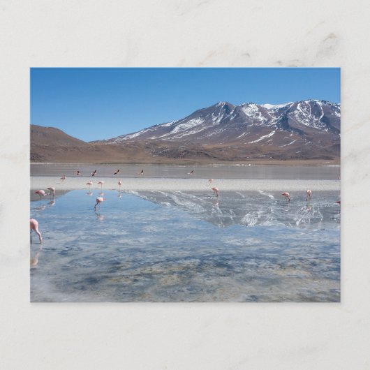 サラールデウユニ塩フラット,ボリビア ポストカード (正面)