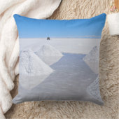 サラール族de Uyuniの塩の平たい箱の装飾用クッション クッション (ブランケット)