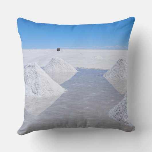 サラール族de Uyuniの塩の平たい箱の装飾用クッション クッション (裏面)