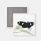 サラ磁石 マグネット (正面/裏面)