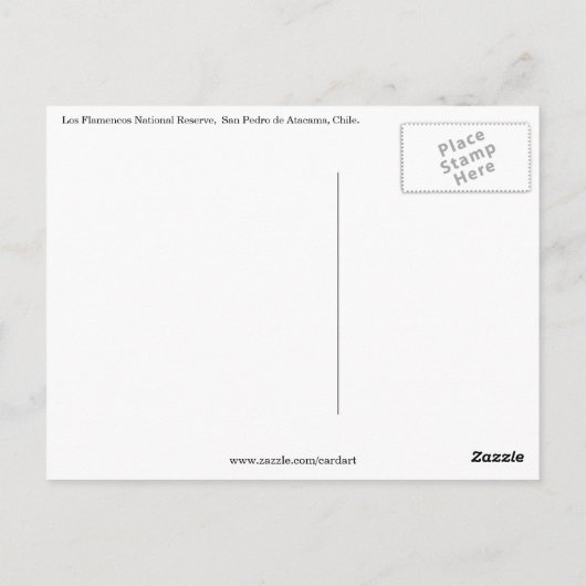 サラ・アタカマ ポストカード (裏面)