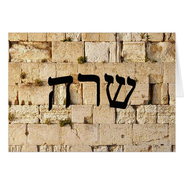 サラ，サラ – HaKotel （西壁） (正面横)