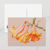 サラ・トレッ素晴らしト葉書によるベル・リリー・アート ポストカード (正面/裏面)