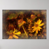 サラ ポスター (正面)